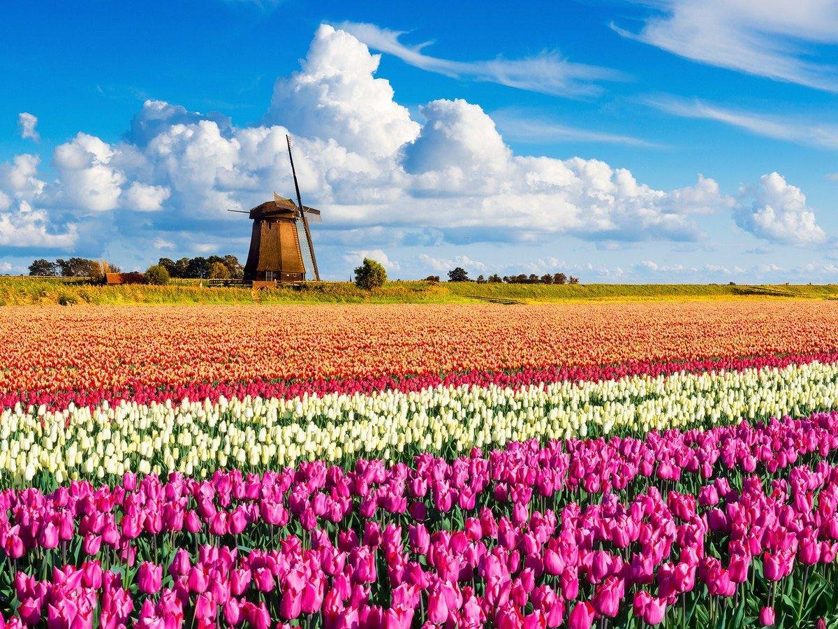 السياحة في هولندا   هولندا   أماكن سياحية   سياحة   وجهات   سفر   رحلات طيران
