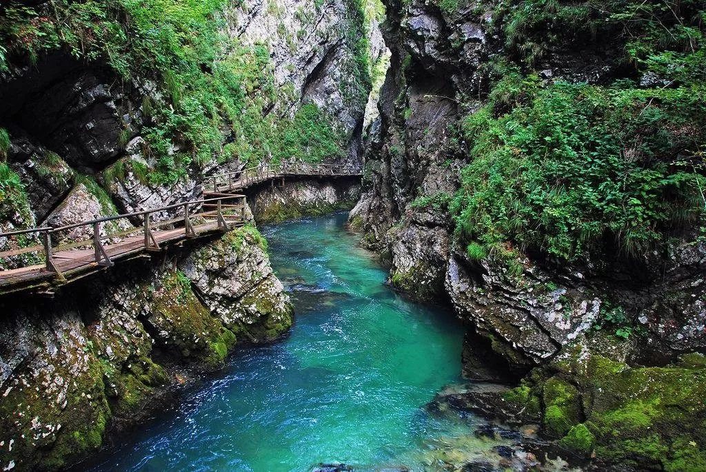 ما هي الأماكن السياحية في سلوفينيا؟ تعرّفي عليها وأضيفيها إلى قائمة وجهاتكِ المقبلة
