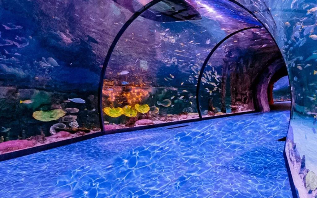 أبو ظبي تفتتح National Aquarium، أكبر حوض للأحياء المائية في الشرق الأوسط
