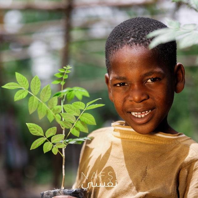 شركة نفسي Nafsi - شجرة واحد مزروعة One Tree Planted