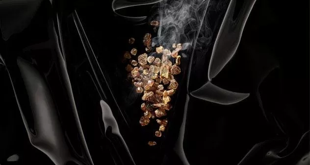 روبرتو كافالي تطلق عطرَي Velour Saffron وWild Incense ضمن المجموعة الذهبية Gold Collection