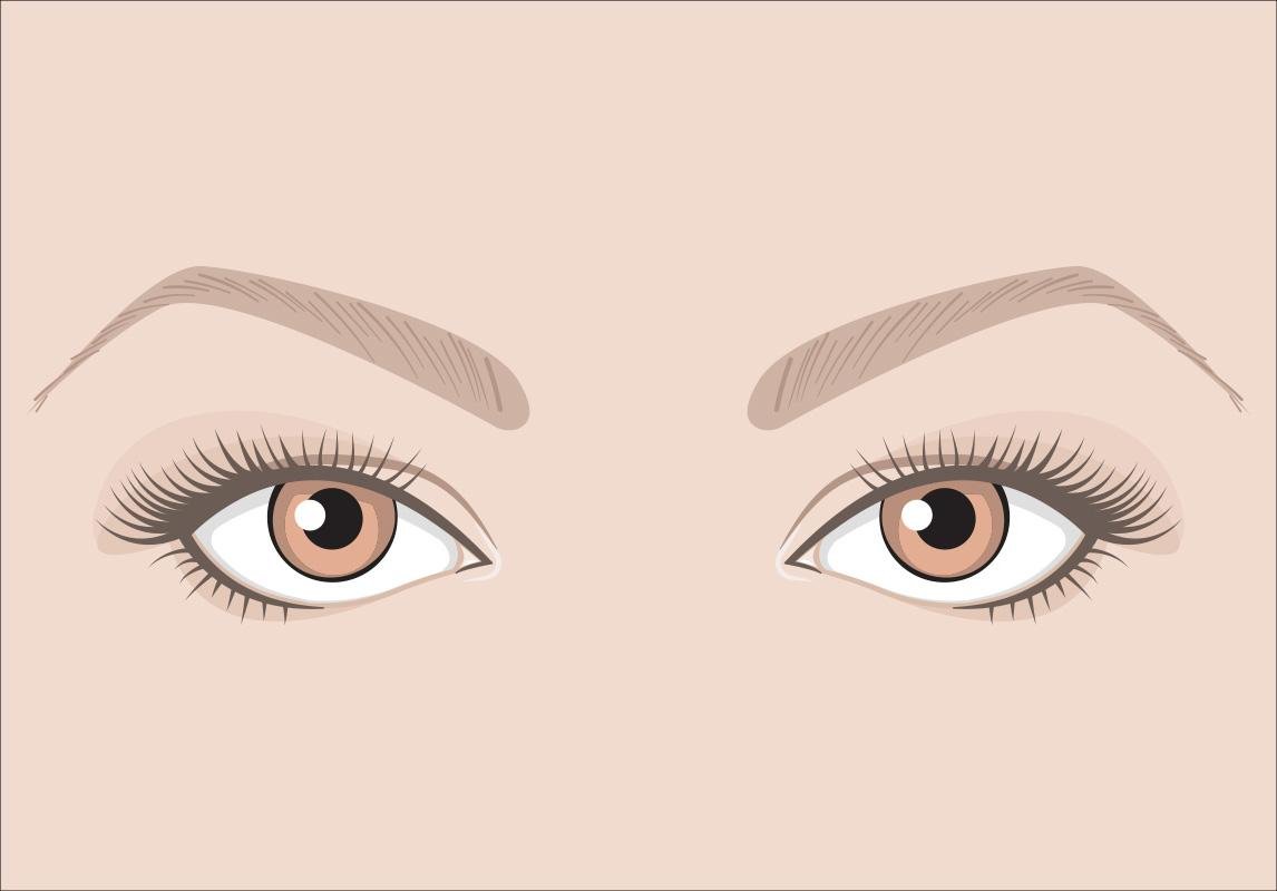 العيون اللوزية العيون الدائرية العيون الواسعة  شكل العين الرموش الصناعية 