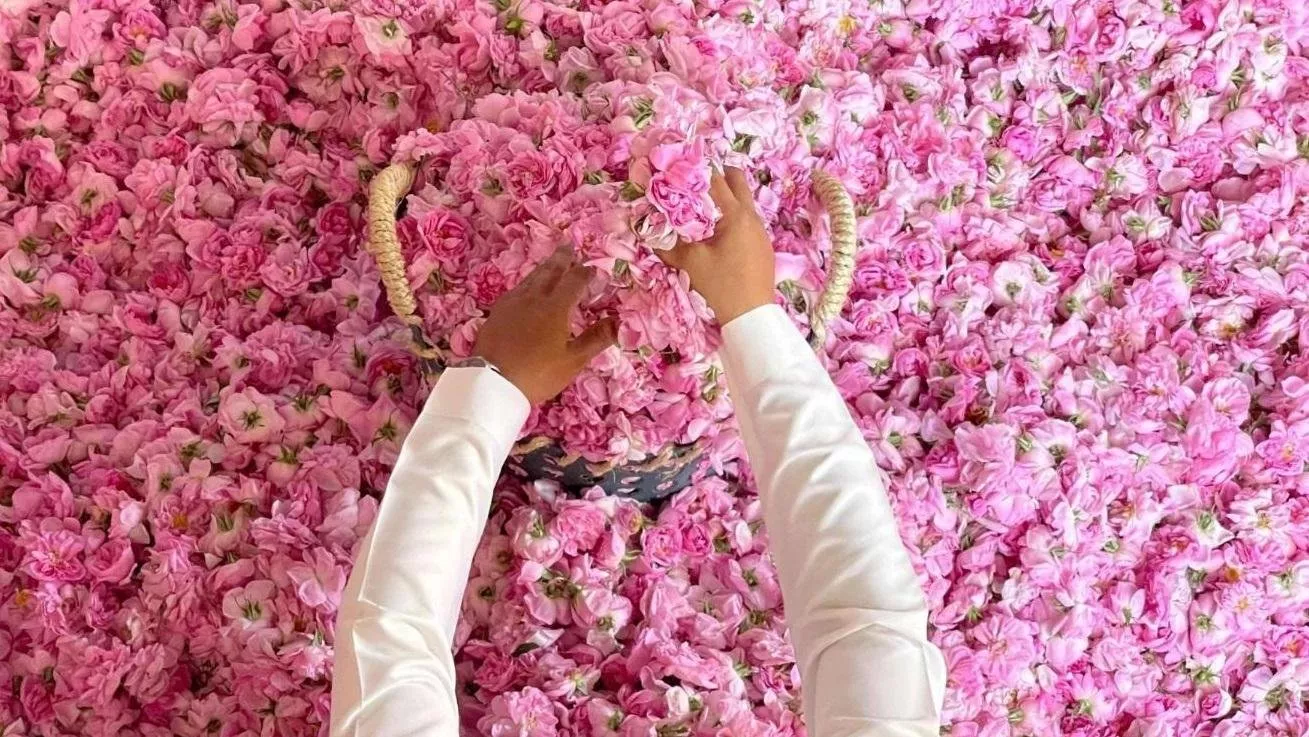 الطائف، مدينة الورود في السعودية، تزدهر في شهر رمضان