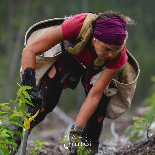 شركة نفسي Nafsi - شجرة واحد مزروعة One Tree Planted