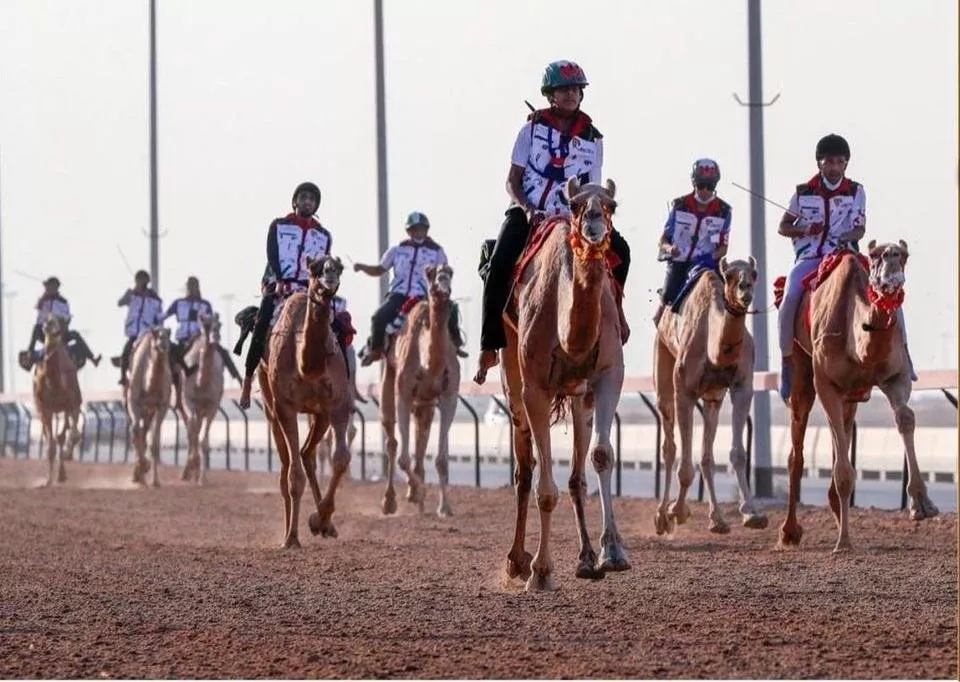 بخطوة لافتة، أوّل مشاركة نسوية في سباق رحلة الهجن في ماراثون اليوم الوطني الإماراتي الـ50