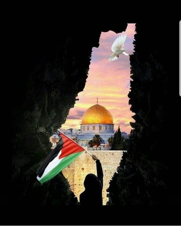 فلسطين اليوم علم فلسطينفلسطين اليوم علم فلسطين