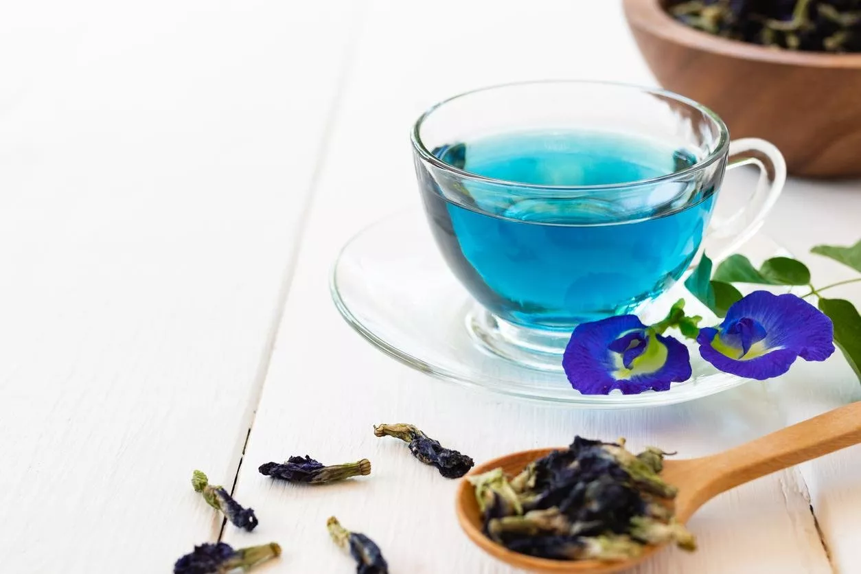 ما هي فوائد الشاي الأزرق للشعر وكيف يمكنكِ استخدامه؟