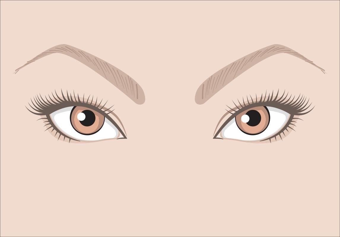 العيون اللوزية العيون الدائرية العيون الواسعة  شكل العين الرموش الصناعية 