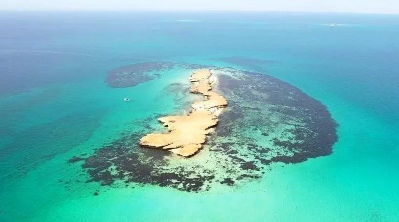 جزر فرسان: أول محمية في السعودية تنضم إلى برنامج اليونيسكو للمحيط الحيوي